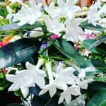 Fuoco & Natura - Fiori2.jpg