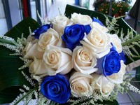 Fuoco & Natura - Fiori9.jpg